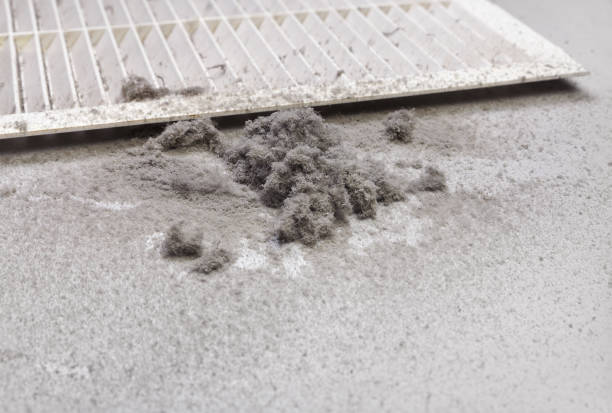 Best Affordable Air Duct Cleaning  in Plymouth, NC